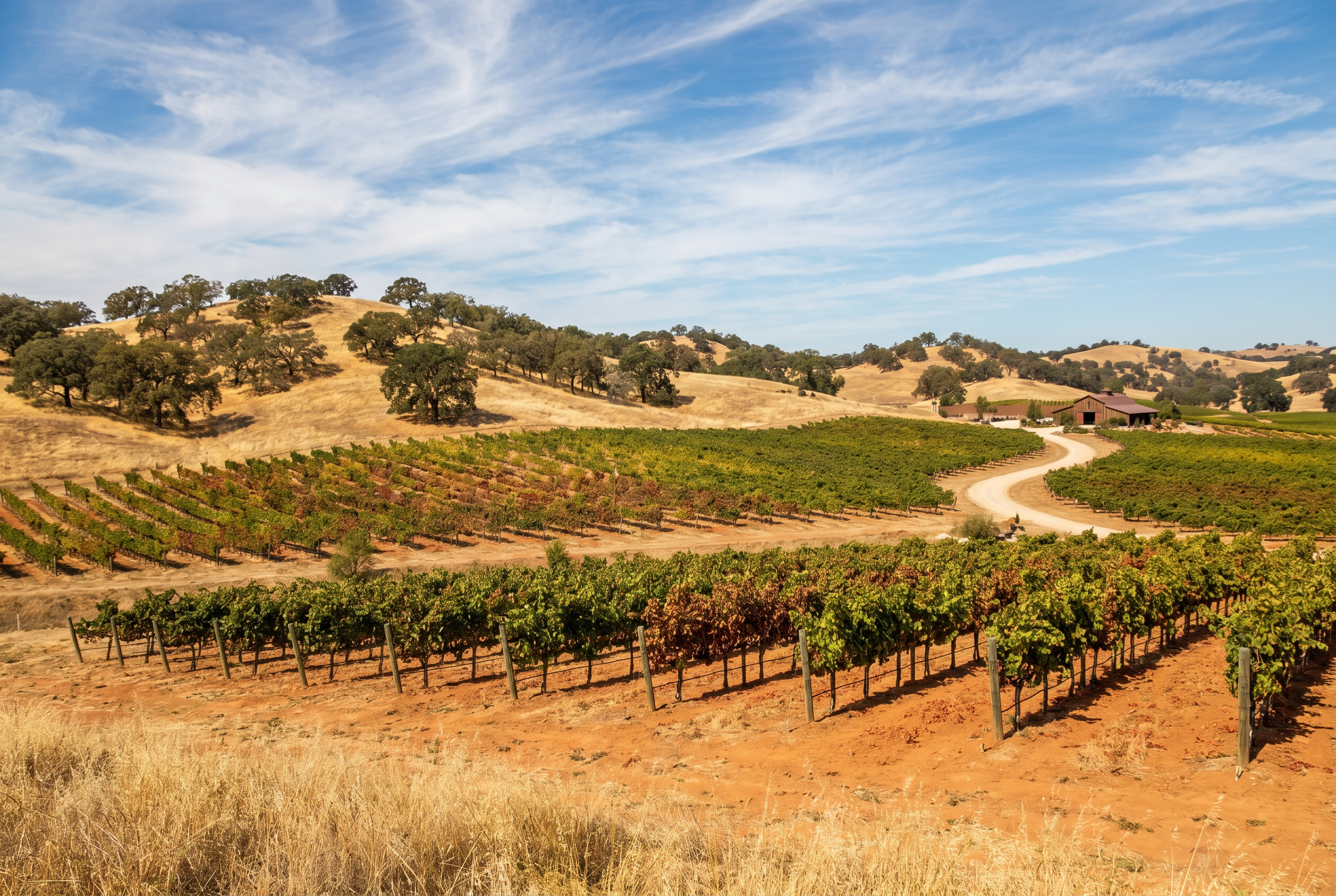 Paso Robles